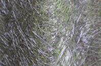 Arrington fibreglass roof work